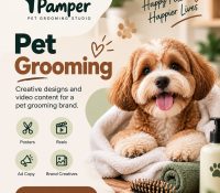 pet gr